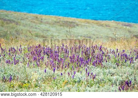 Crimea Peninsula. Koktebel. Cape Hameleon. Coastline Of The Black Sea Summer