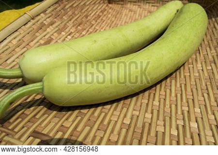 Bottlegourds Or White-flower Gourd Also Known As Calabash Are Long And Thin Melons. Indian Asian Veg