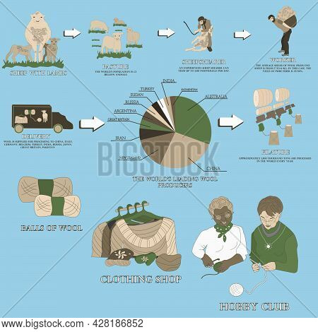 Stages Of Wool Production. Sheep Shearing, Wool Delivery, Filature, Yarn Dressing, Sale, Knitting.