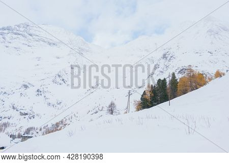 Landscape From The Trainstation Of Alp Grum Along The Way Of The Red Train Of The Bernina During A C