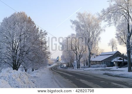 Talvitietä pitkin jäinen puiden ympäröimänä