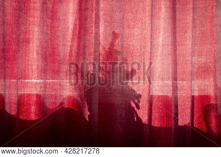 Light Through The Curtains