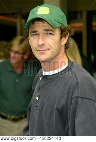 LOS ANGELES - JUN 22: Luke Perry arrives for the 'Sinbad: Legend of the Seven Seas' LA Premiere on June 22, 2003 in Century City, CA