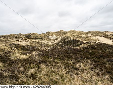 Sand Dune Landscape Overgrown With Grass On The Island Of Amrum, Germany. Siatler Or Setzer Dune In 