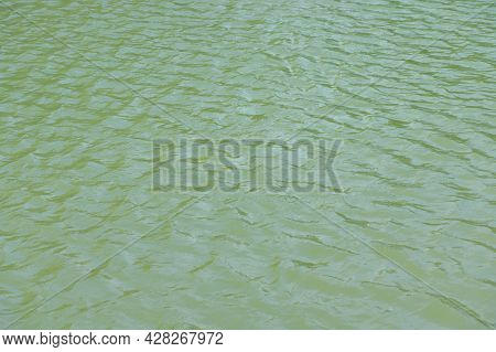 Ripple On Water In City Park Pond At Dry Sunny Summer Day