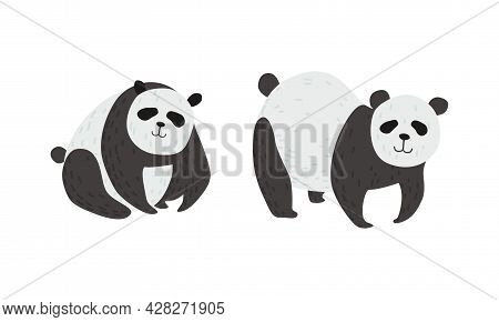 Panda Bear With Black-and-white Coat And Rotund Body Vector Set