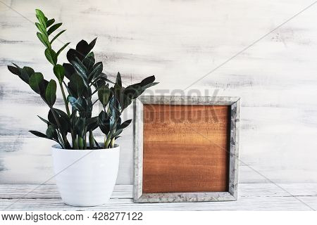 Potted Zz Dowon Plant, Zamioculcas Zamifolia, Houseplant With Blank Wood Farmhouse Sign Or Picture F