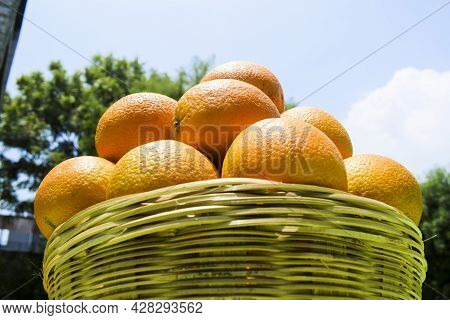 Farm Fresh Heaps Of Citrus Fruits Maltas In Wicker Basket. Organic Orange Like Malta Fruits, Mosambi