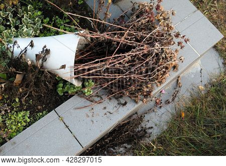 Overturned Vase With Dried Flowers On The Gravestone.
