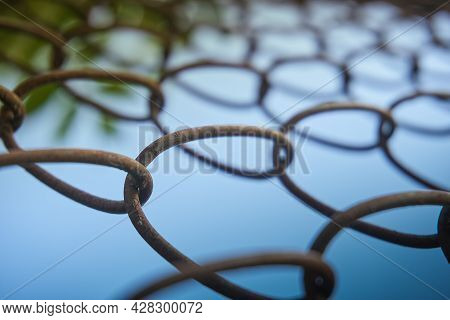 Mesh Rabitsa. Soft Selective Focus, Background. Textured, Close-up Mesh Rabitsa