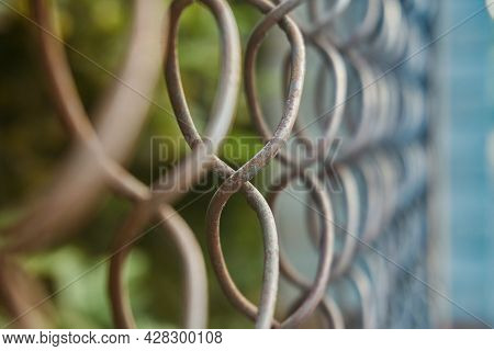 Mesh Rabitsa. Soft Selective Focus, Background. Textured, Close-up Mesh Rabitsa