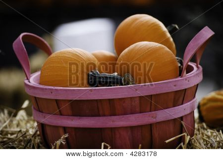 Pompoenen