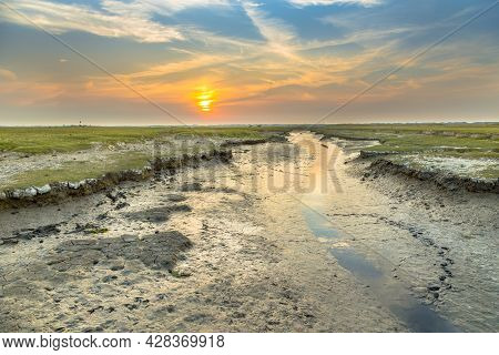 Tidal Channel In Salt Marshland With Natural Meandering Drainage System On Wadden Island Of Ameland 