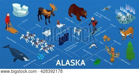 Alaska Isometric Infographic Flowchart With Nordic Lights Dog Mushing Tour King Salmon Gold Jade Gri