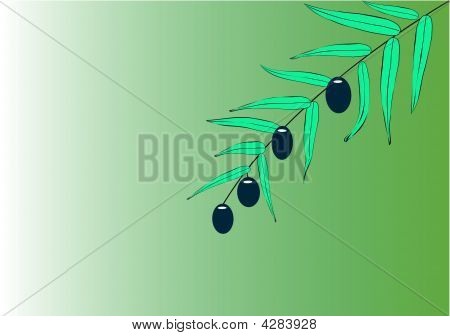 Olive_branch