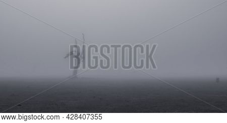 Creepy Silhouette Of Dead Tree Stump Stands Alone In A Foggy Field