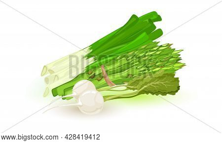 Whole Green Asparagus Spears Vegetable Tided With Thread, Fresh Green Veggie. Farm Menu, Healthy Gre