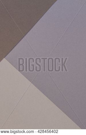 Color Papers Geometry Composition Background With Gray And Brown Tones