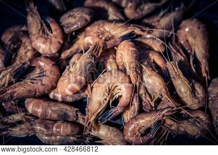 A Salad With Fresh North Sea Crabs