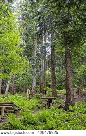 Military Bunkers In The Forest, Dukla Battlefield, Slovak Republic. Travel Destination.