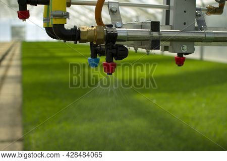 A Greenhouse For Growing Plants And Trees. Irrigation Technology In The Greenhouse.