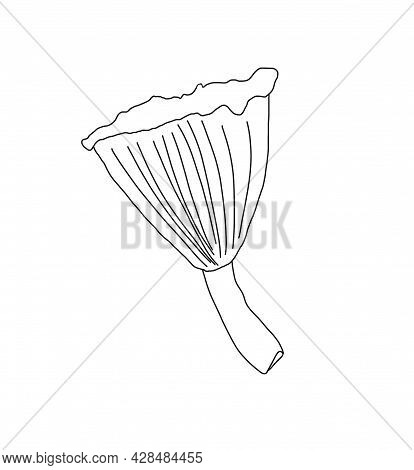 Illustration Of A Mushroom In The Style Of Linart