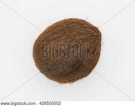 Exotic Whole Coconut Fruit Isolated On A White Background.