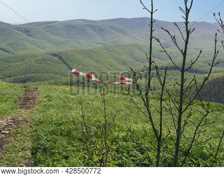 A Red And White Torn Signal Tape Hangs On A Tree Branch Against The Background Of Green Hills. Beaut