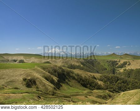 Green Grass On The Yellow Spring Alpine Meadows Of The Gumbashi Pass. Snow Covered Huge Mountain Elb