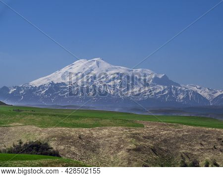 Green Grass On The Yellow Spring Alpine Meadows Of The Gumbashi Pass. Snow Covered Huge Mountain Elb