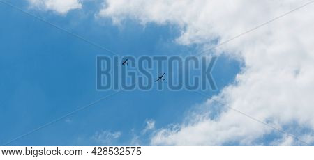 Glider Planes Flying In The Sky. Extreme Active Sport. Cloudy Blue Sky With Small Motorless Aircraft