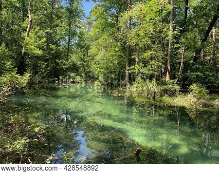Deleon Springs State Park In Florida