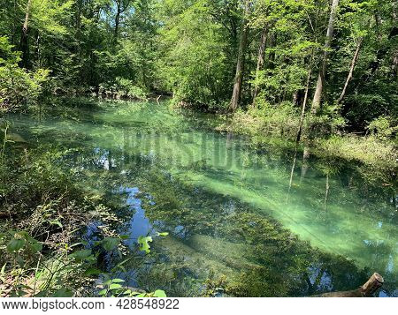 Deleon Springs State Park In Florida
