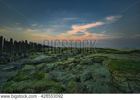 View Of The Wadden Sea During Sunset, At Low Tide. A Colorful Dramatic Sky. Wooden Posts As A Silhou