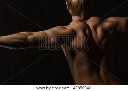 หลังชาย bodybuilder