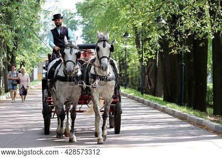 Moscow Region, Russia - August 2021: Cabman Rides Passengers In A Horse Carriage In Summer Park Of I