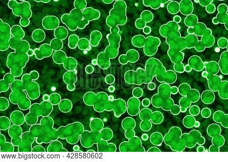 Nice Creative Green A Lot Organic Cells Computer Art Background Illustration