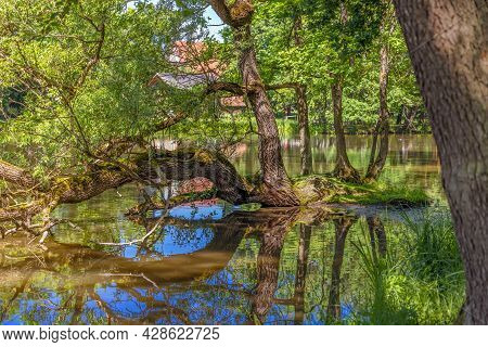 Germany, Bavaria, Weissenstein Palace In Pommersfelden Bamberg, River, Tree, Reflection Of Trees In 