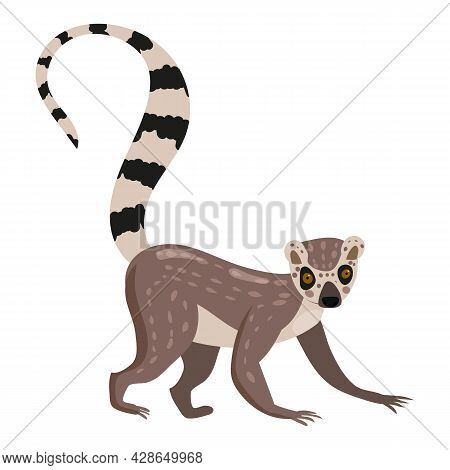 Lemur Cute Exotical Madagascar Monkey Animal, Ring Tailed. Vector Illustration Cartoon Style