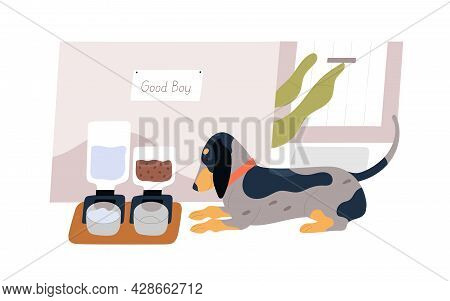 Dog Waiting For Food From Automatic Smart Feeder. Cute Pet With Electronic Water And Feed Dispensers