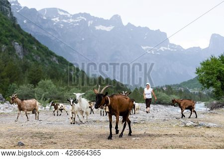 Mountain Landscape In National Park Theth In The Albanian Alps.
