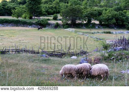 Mountain Landscape With Houses And Farms In Theth In The Albanian Alps
