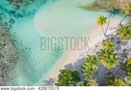 Beach travel vacation top down drone photo of tropical paradise beach in perfect turquoise water in coral reef lagoon ocean by beach. Palm trees on atoll