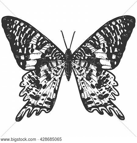 Chrysiridia Rhipheus, Butterfly. Sketch Scratch Board Imitation Coloring.