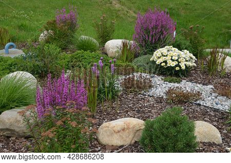 Ornamental Flower Bed With Perennial Pine Gray Granite Boulders, Mulched Bark And Pebbles In An Urba