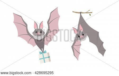 Funny Gray Bat With Cute Snout Flying With Gift Box And Hanging On Tree Branch Vector Set