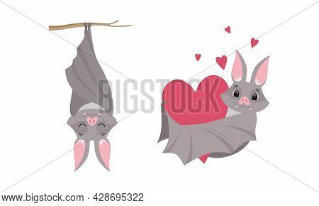 Funny Gray Bat With Cute Snout Embracing Heart And Hanging Upside Down On Tree Branch Sleeping Vecto