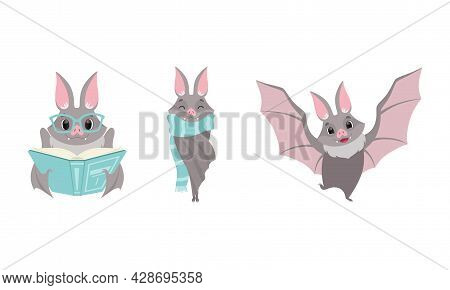 Funny Gray Bat With Cute Snout Reading Book And Wearing Scarf Vector Set