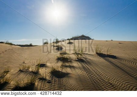 Sand Dune Slope With Tufts Of Grass Casting Harsh Shadows On Undulating Sand