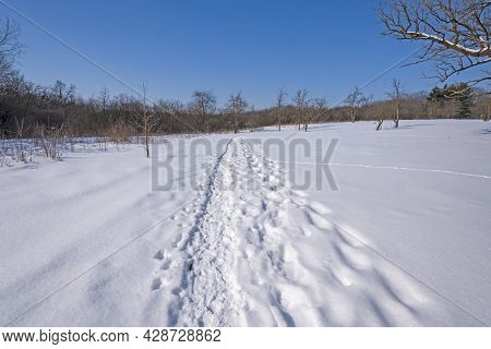 Hiking Trail In The Snow In The Crabtree Nature Center In Illinois